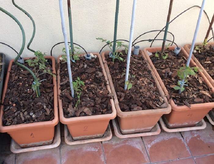 preparacion huerto urbano como preparar un huerto urbano